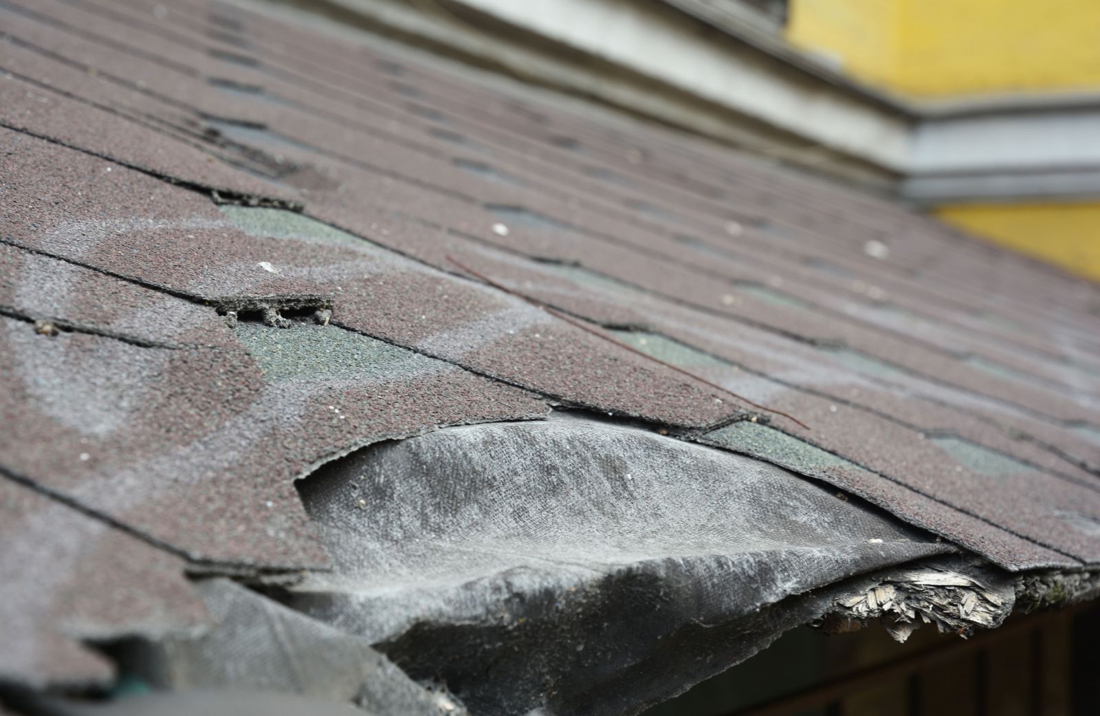 Gold Ladder Roofing And Construction Images