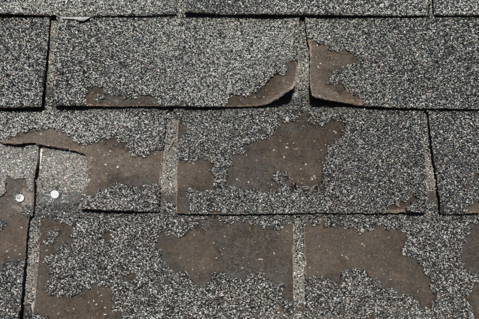 Gold Ladder Roofing And Construction Images